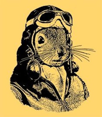 March30thRoomType Standard